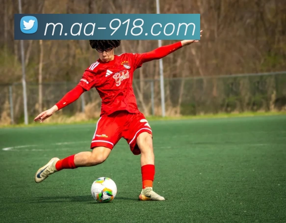 博天堂APP 封面图